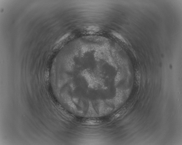 X0000060790657200512082125