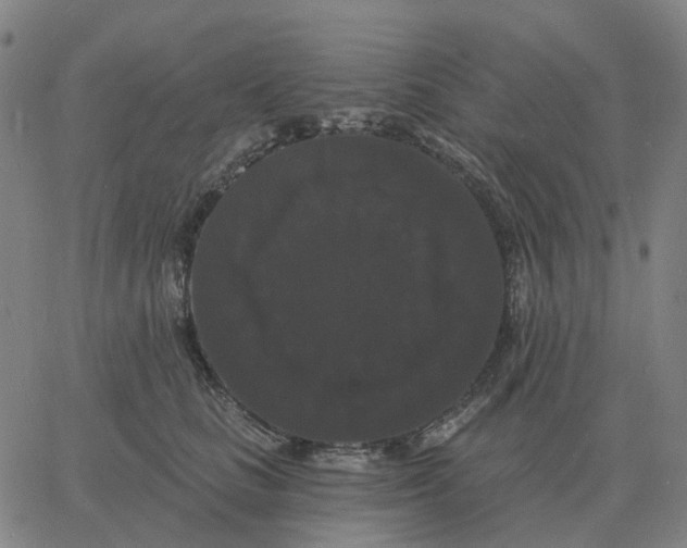 X0000060790661200512082125