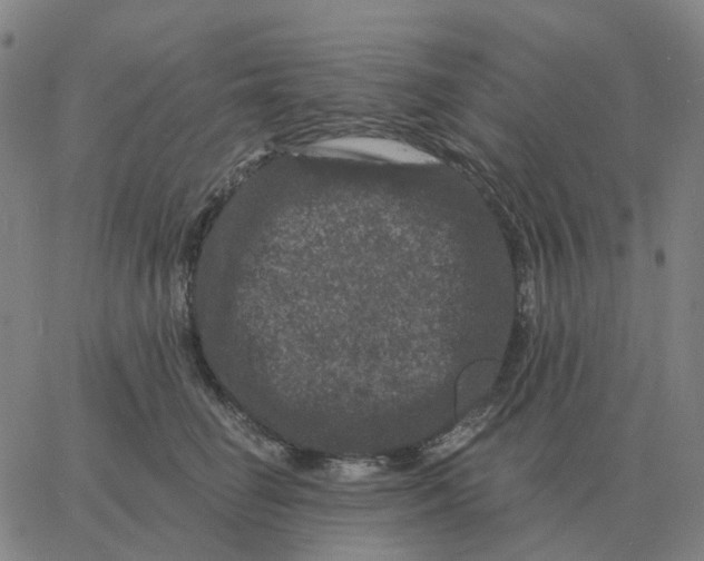 X0000060790662200512082125