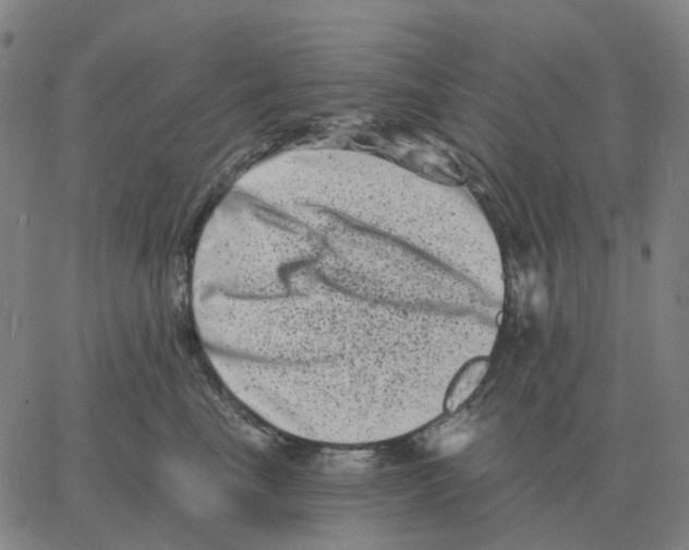 X0000060790665200512082125