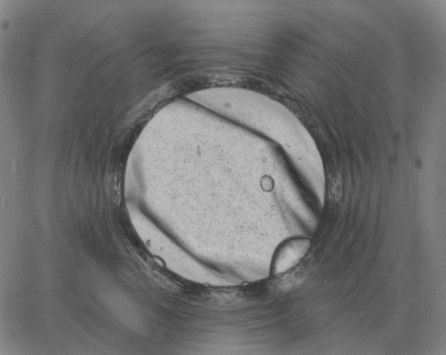 X0000060790666200512082125