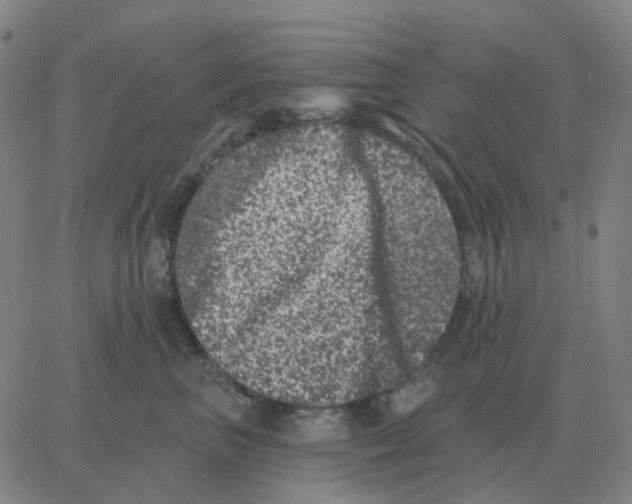 X0000060790667200512082125