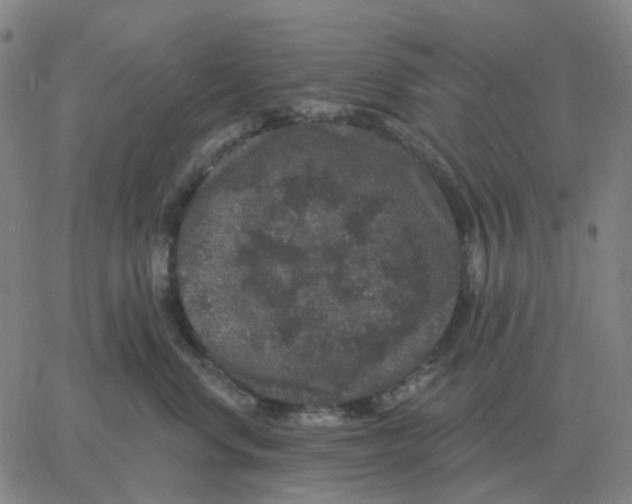 X0000060790668200512082125