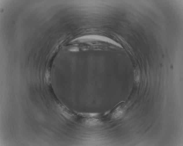 X0000060790669200512082125