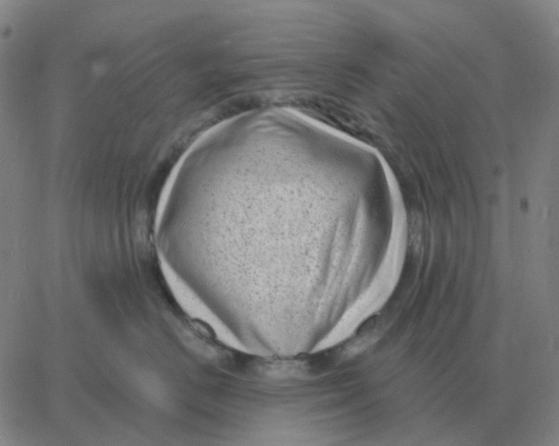 X0000060790670200512082125