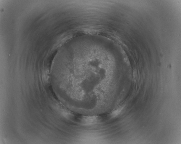 X0000060790671200512082125