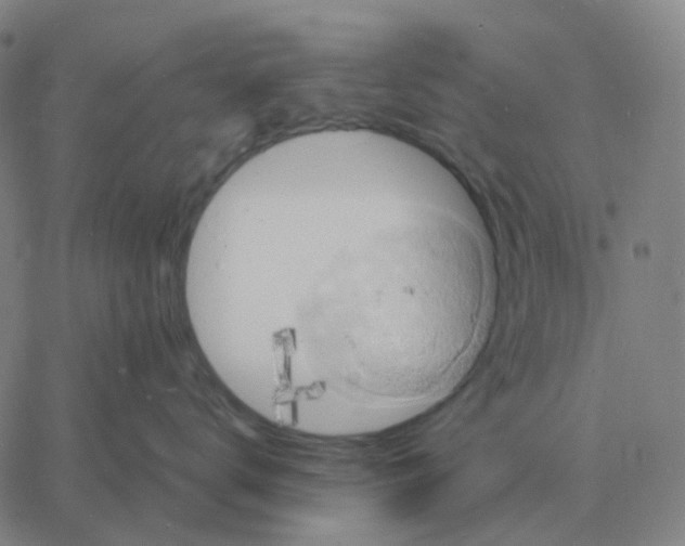 X0000060790672200512082125