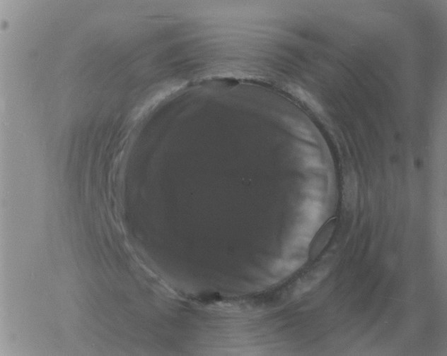 X0000060790673200512082125