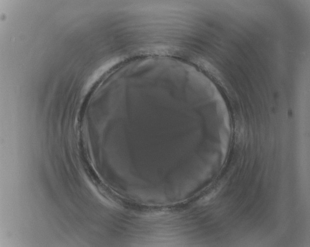 X0000060790674200512082125