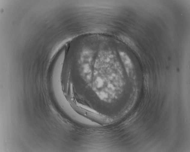 X0000060790676200512082125