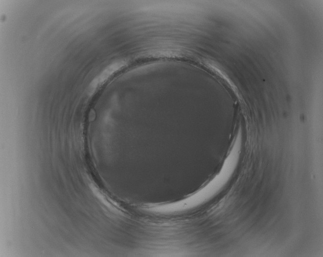 X0000060790677200512082125