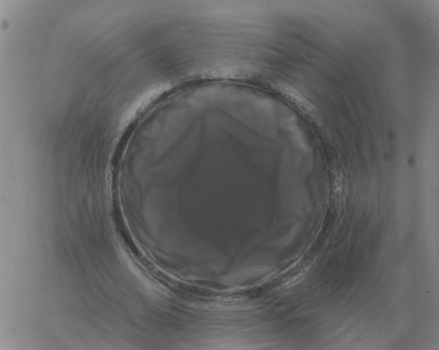 X0000060790678200512082125