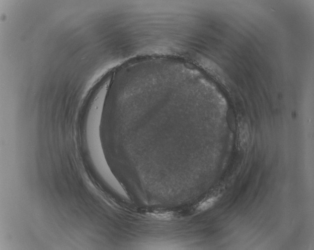 X0000060790680200512082125