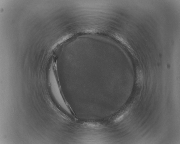 X0000060790681200512082125