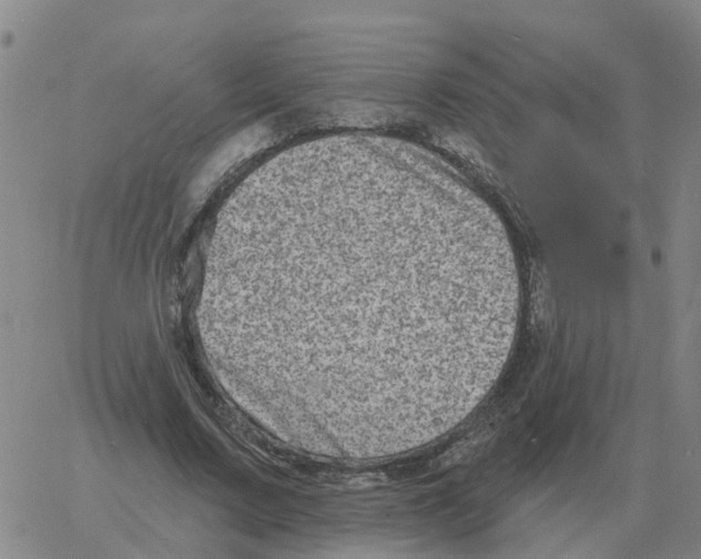 X0000060790683200512082125