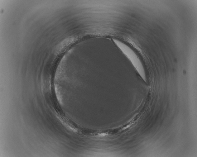 X0000060790685200512082124