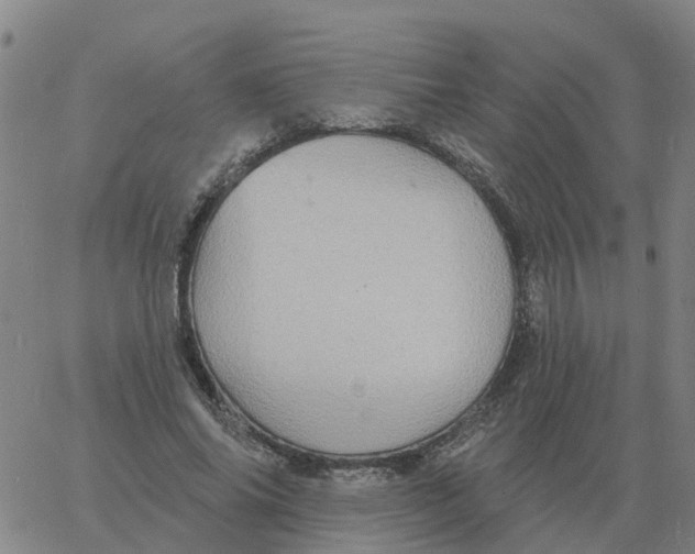 X0000060790686200512082124