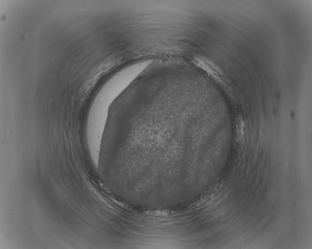 X0000060790687200512082124