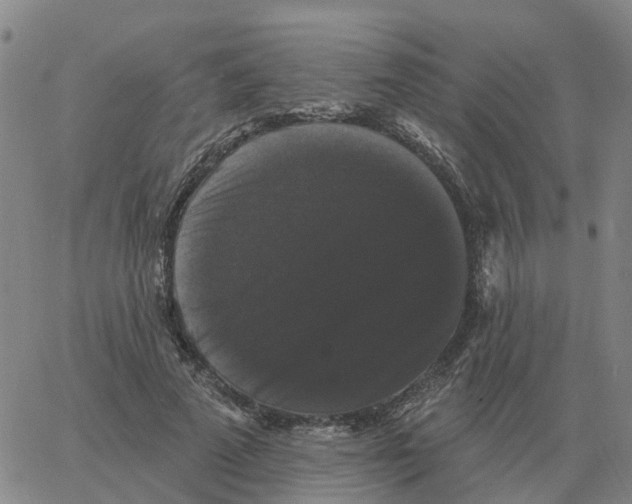 X0000060790689200512082124