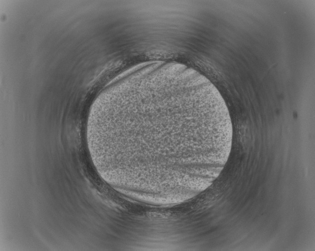 X0000060790690200512082124