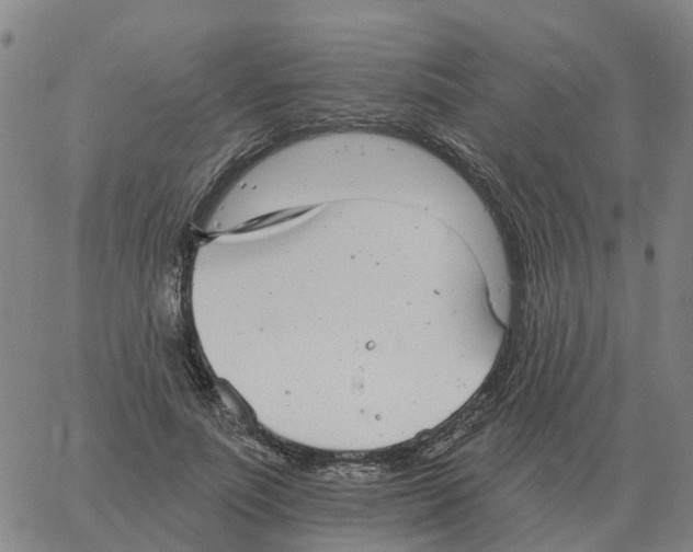 X0000060790691200512082124