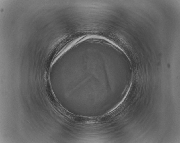 X0000060790692200512082124