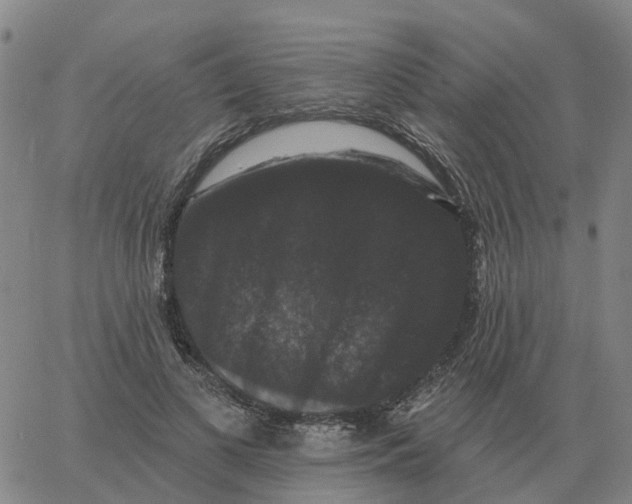 X0000060790693200512082124