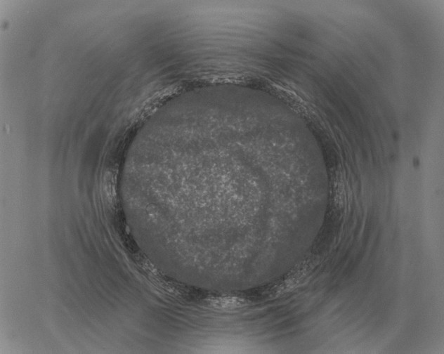 X0000060790695200512082124