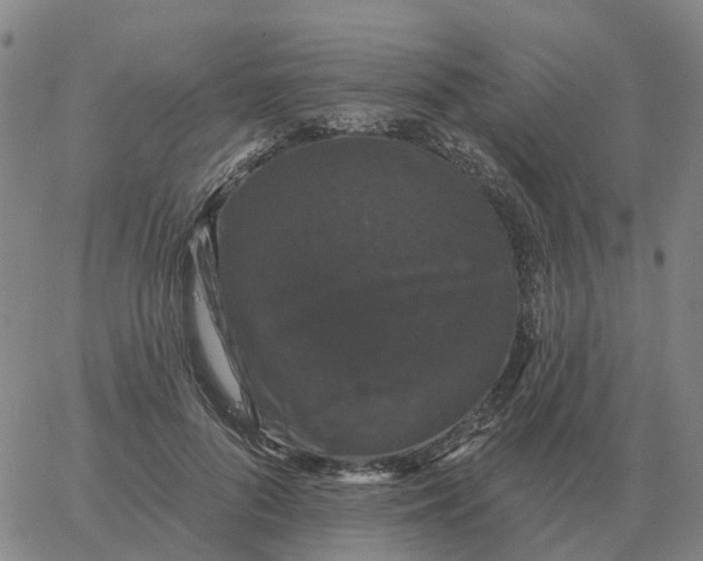 X0000060790696200512082124