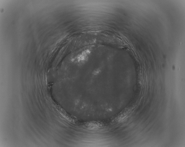 X0000060790697200512082124