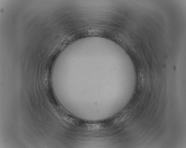 X0000060790698200512082124