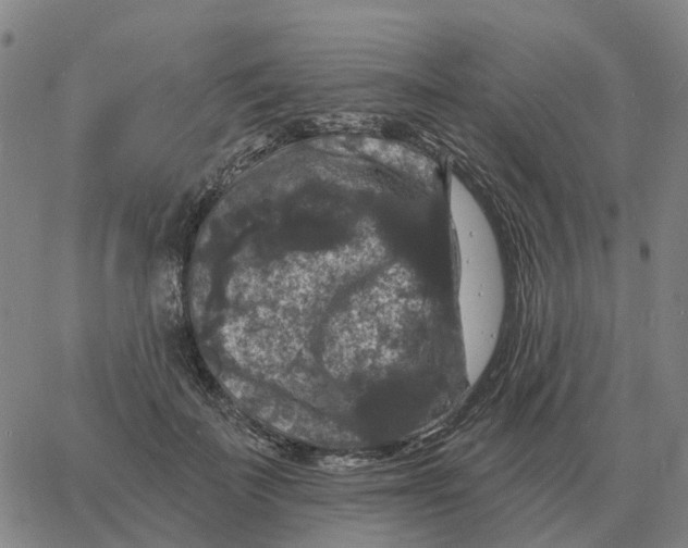 X0000060790699200512082124