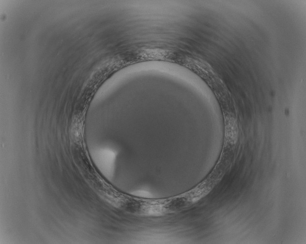 X0000060790701200512082124