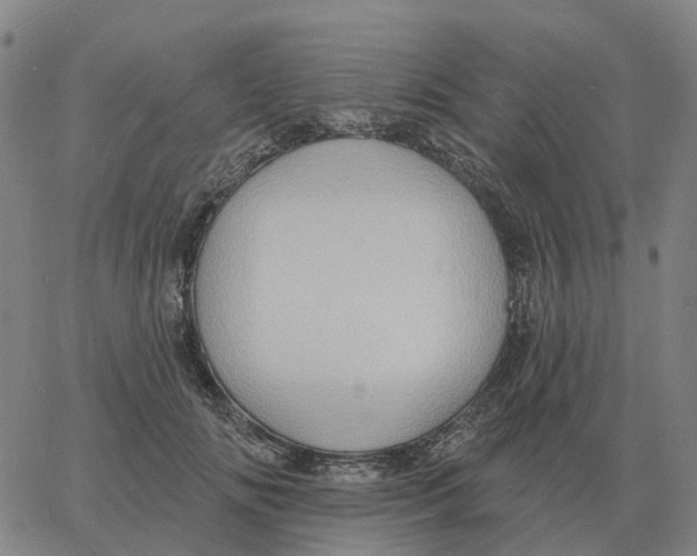 X0000060790702200512082124