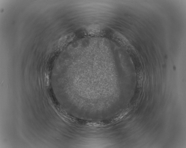 X0000060790703200512082124