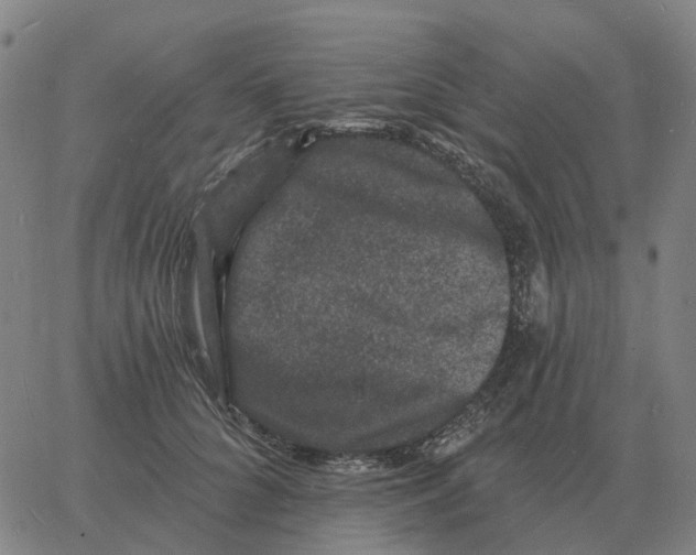 X0000060790704200512082124