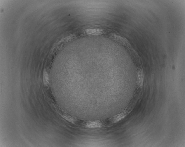 X0000060790705200512082124