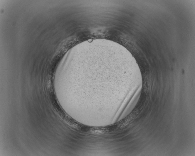 X0000060790706200512082124