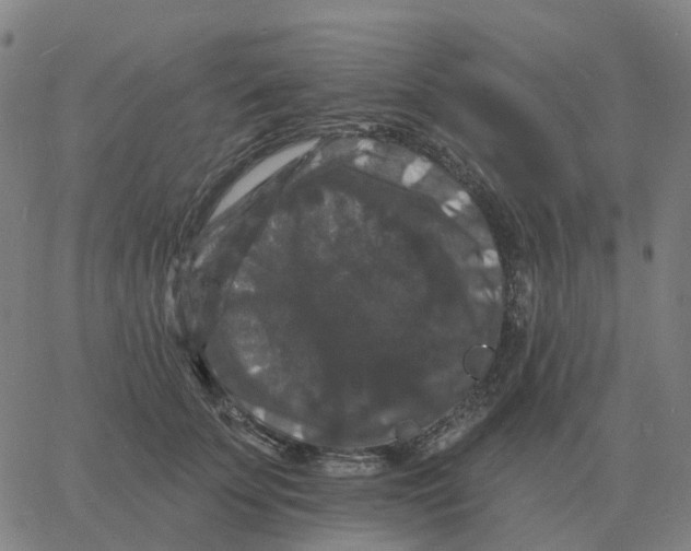 X0000060790707200512082124