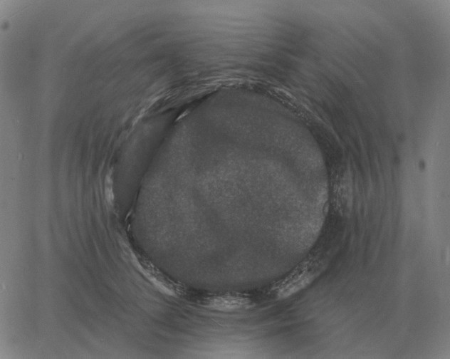 X0000060790708200512082124