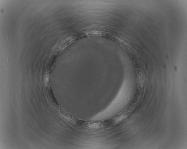 X0000060790709200512082124