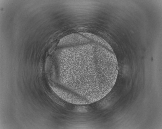 X0000060790710200512082124