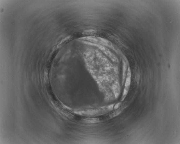 X0000060790711200512082124