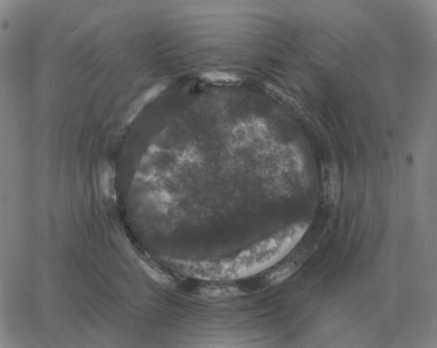 X0000060790712200512082124