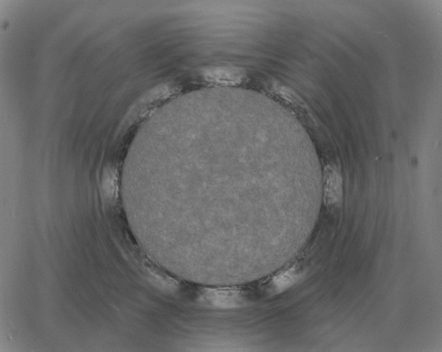 X0000060790713200512082124