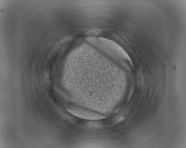 X0000060790714200512082124