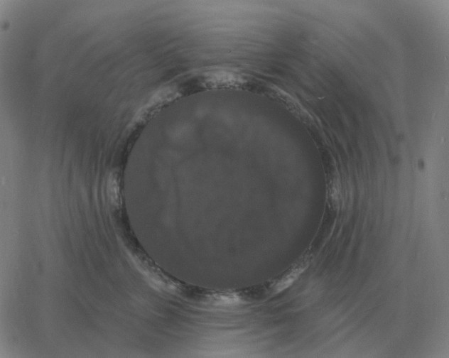 X0000060790715200512082124