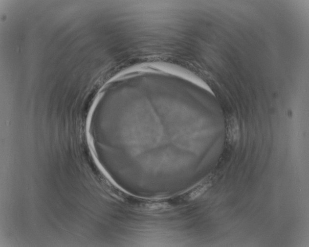 X0000060790716200512082124