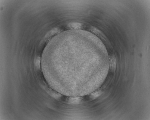 X0000060790717200512082124