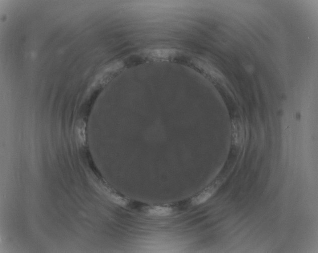 X0000060790718200512082124